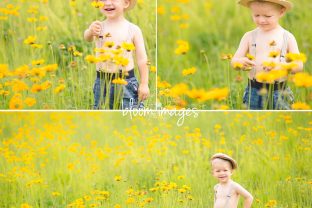 Family-Photographer-Northern-VA-Baby-Styled-Session