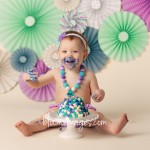 1st Birthday Cake Smash – Ashburn VA Baby Photographer