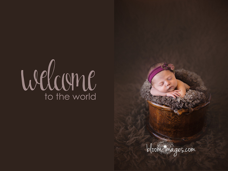 Newborn Baby Photos in Arlington VA Bloom Images Photography by Sylvia Osinski