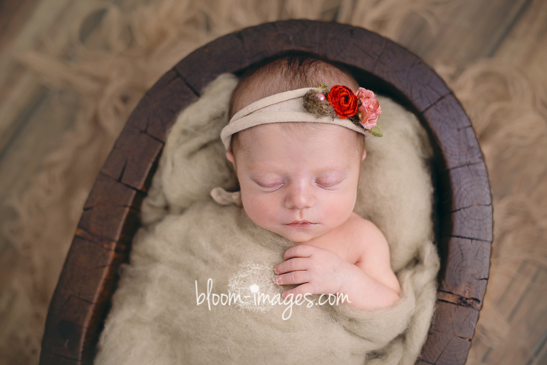 Newborn Baby Photos in Washington DC Bloom Images by Sylvia Osinski