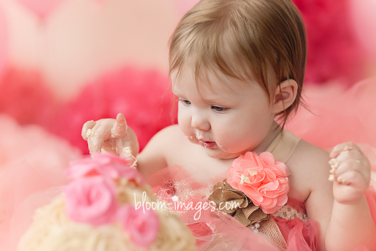 First Birthday Cake Smashing Photos in Northren VA