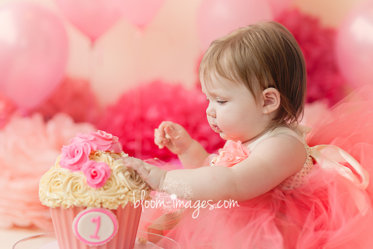 First Birthday Cake Smashing Photos in Northren VA