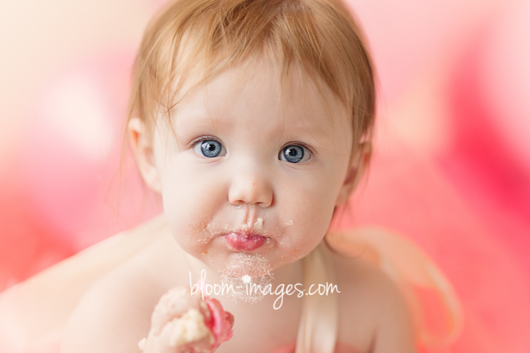 First Birthday Cake Smashing Photos in Northren VA