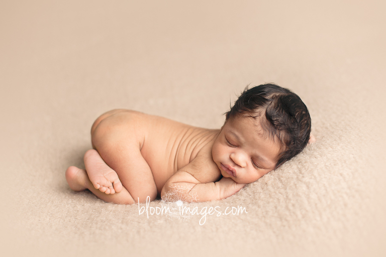 Newborn Baby Photography in Northern VA, photos by Bloom Images by Sylvia Osinski
