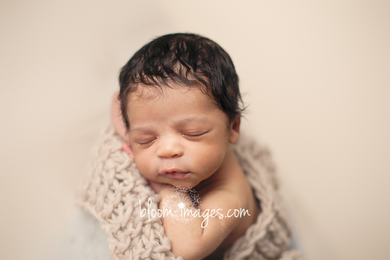 Newborn Baby Photography in Northern VA, photos by Bloom Images by Sylvia Osinski