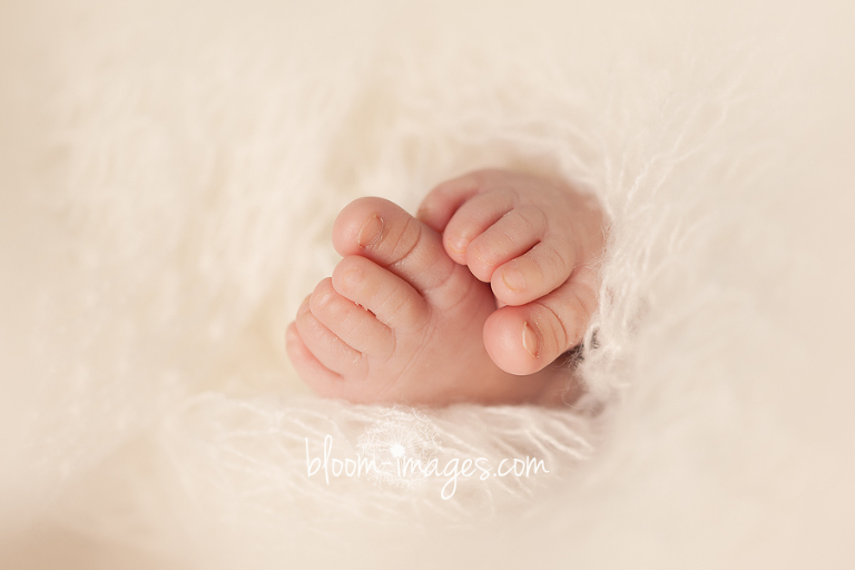 Newborn Baby Photography in Northern VA, photos by Bloom Images by Sylvia Osinski