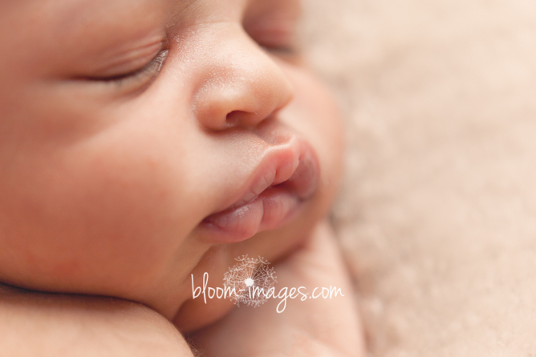Newborn Baby Photography in Northern VA, photos by Bloom Images by Sylvia Osinski