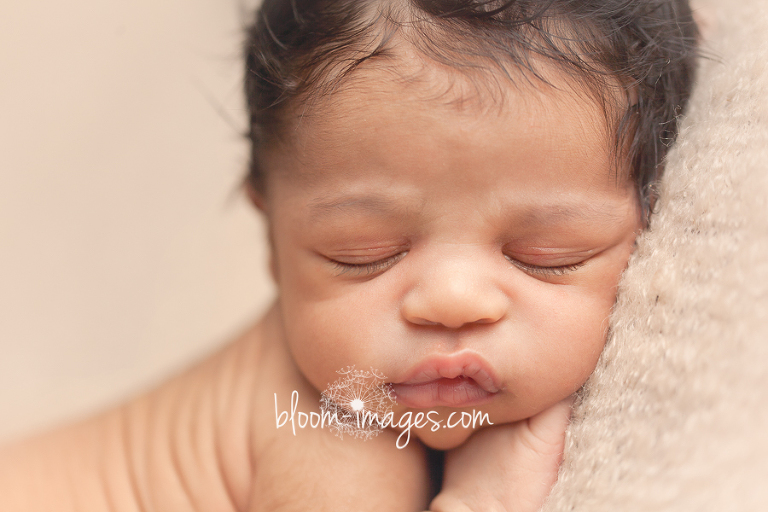 Newborn Baby Photography in Northern VA, photos by Bloom Images by Sylvia Osinski
