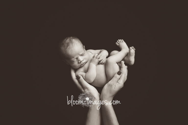 Newborn Photographer in Arlington, Northern Virginia photography by Bloom Images by Sylvia Osinski