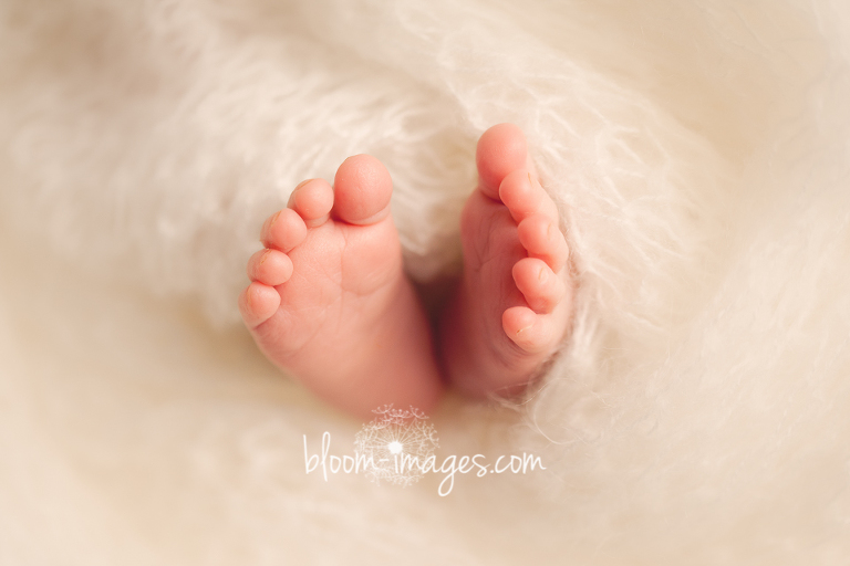Newborn Photographer in Northern Virginia photography by Bloom Images by Sylvia Osinski