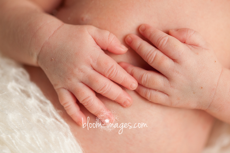 Newborn Photographer in Northern Virginia photography by Bloom Images by Sylvia Osinski