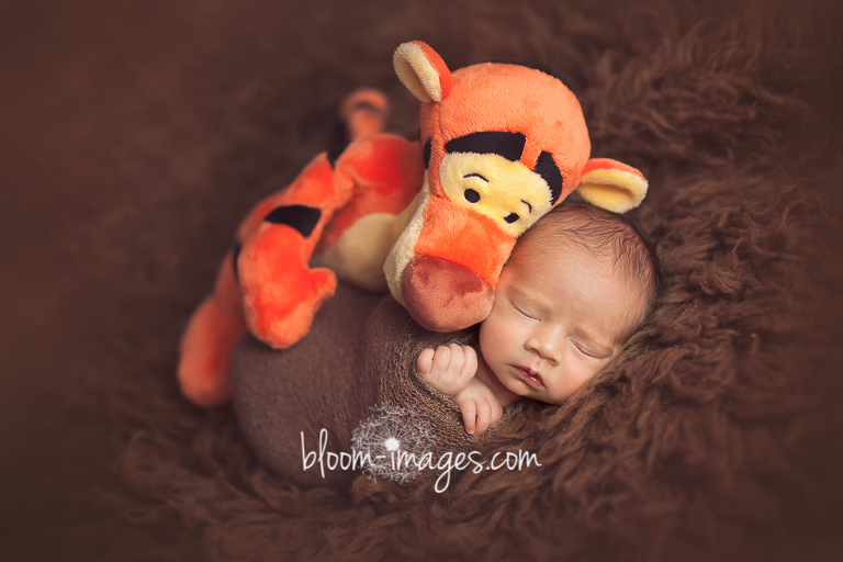 Newborn Photographer in Northern Virginia photography by Bloom Images by Sylvia Osinski
