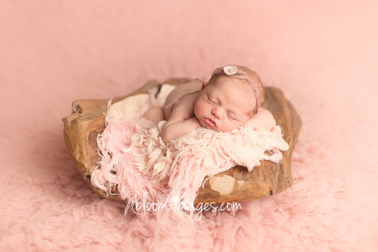 Newborn Baby Image in Restonn VA, by Bloom Images