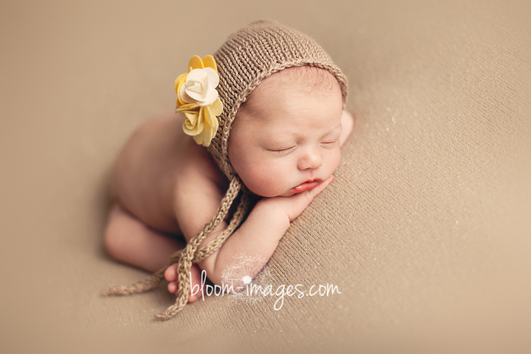 Newborn Baby Photography in Leesburg VA, by Bloom Images