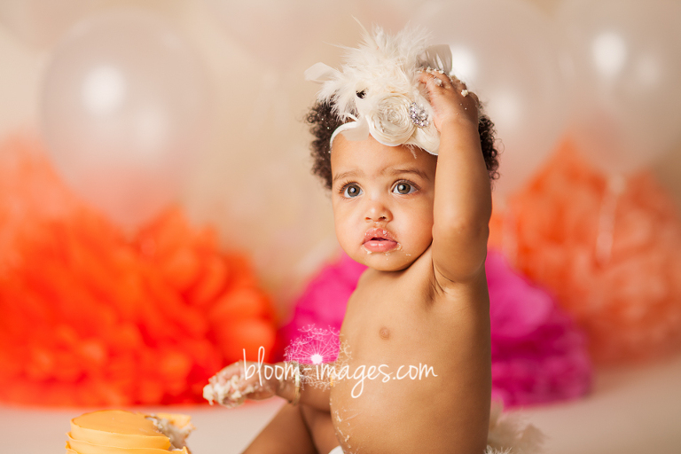 Cake Smash Photographer Ashburn Virginia