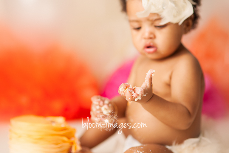 First Birthday photography Northren VA