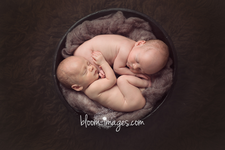 Newborn Twins Photos by Bloom Images in Ashburn VA