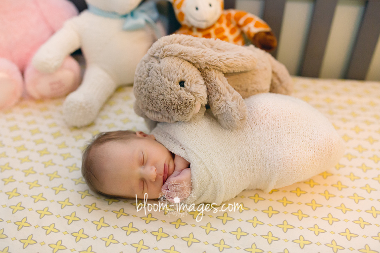 Lifestyle Newborn Baby Photo Session in Northern Virginia