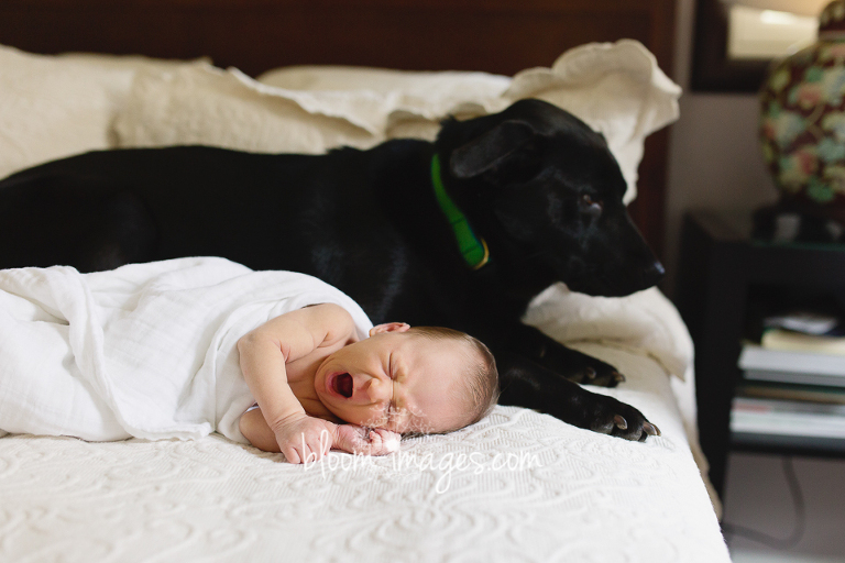 Lifestyle Newborn Baby Photo Session in Northern Virginia