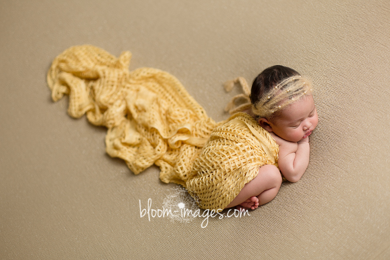 Newborn Baby Photo Session with Bloom Images by Sylvia Osinski, in Ashburn, Northren VA