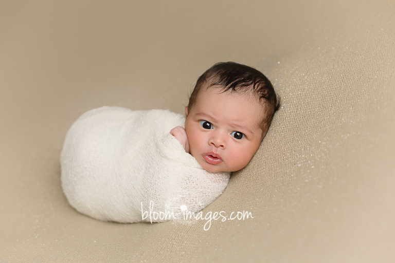 Newborn Baby Photo Session with Bloom Images by Sylvia Osinski, in Ashburn, Northren VA