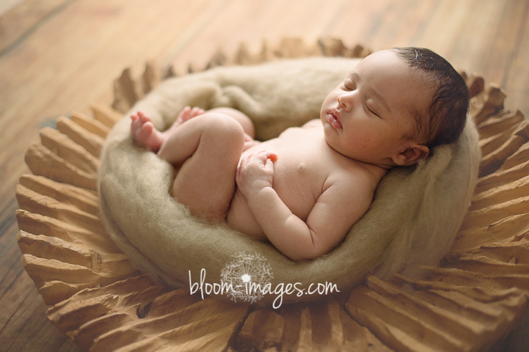 Newborn Baby Photo Session with Bloom Images by Sylvia Osinski, in Ashburn, Northren VA