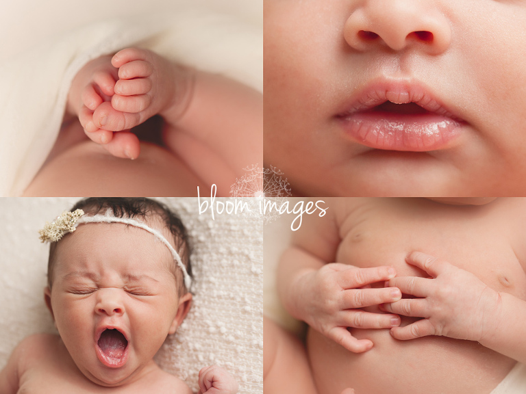 Newborn Baby Photo Session with Bloom Images by Sylvia Osinski, in Ashburn, Northren VA