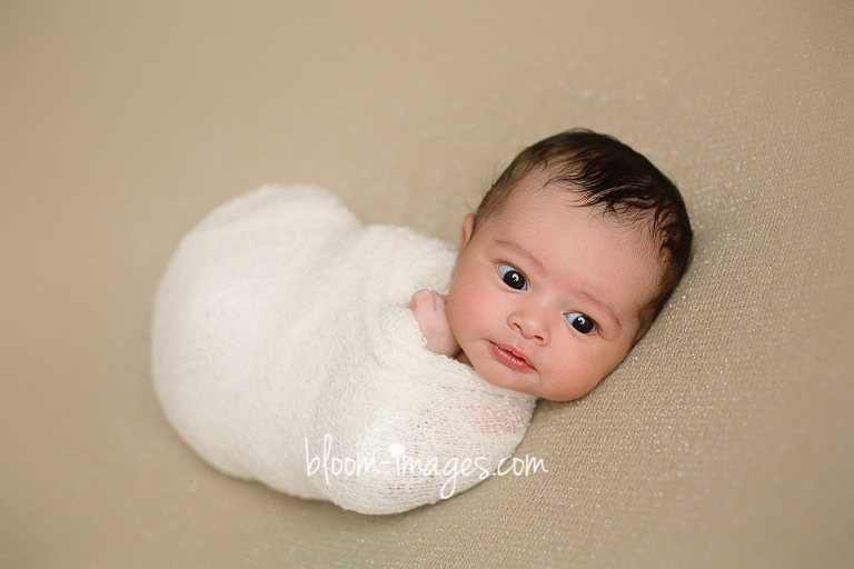 Newborn Studio Session with Bloom Images by Sylvia Osinski, in Ashburn, Northren VA