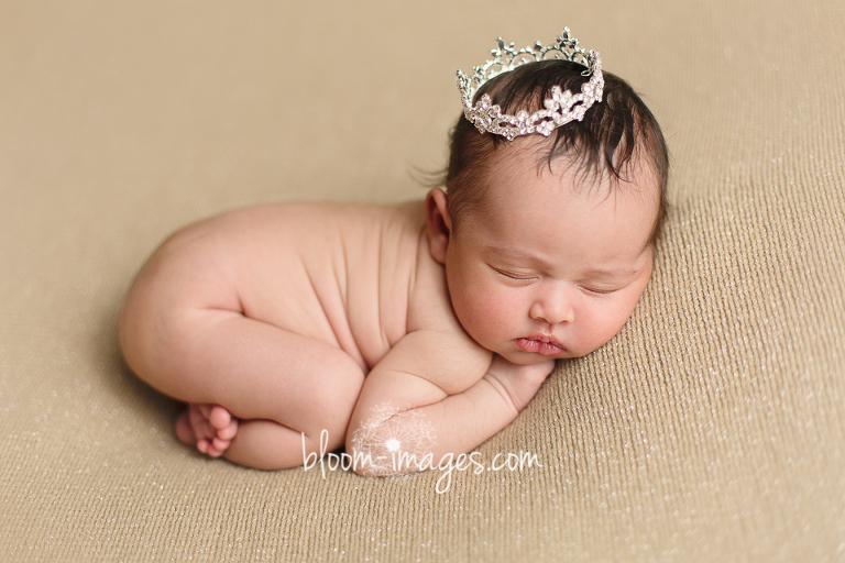 Newborn Studio Session with Bloom Images by Sylvia Osinski, in Ashburn, Northren VA