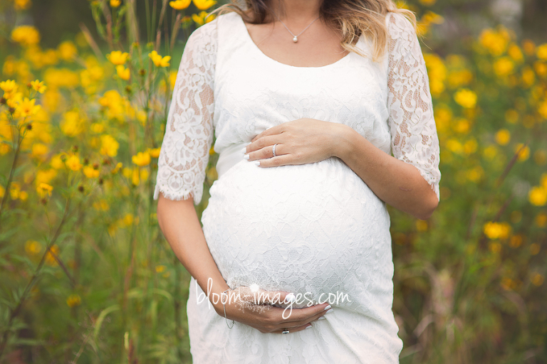 Maternity Photographer in Arlington Northern VA