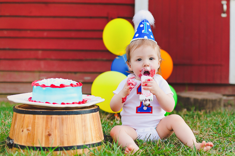 Northern VA baby first birthday photography