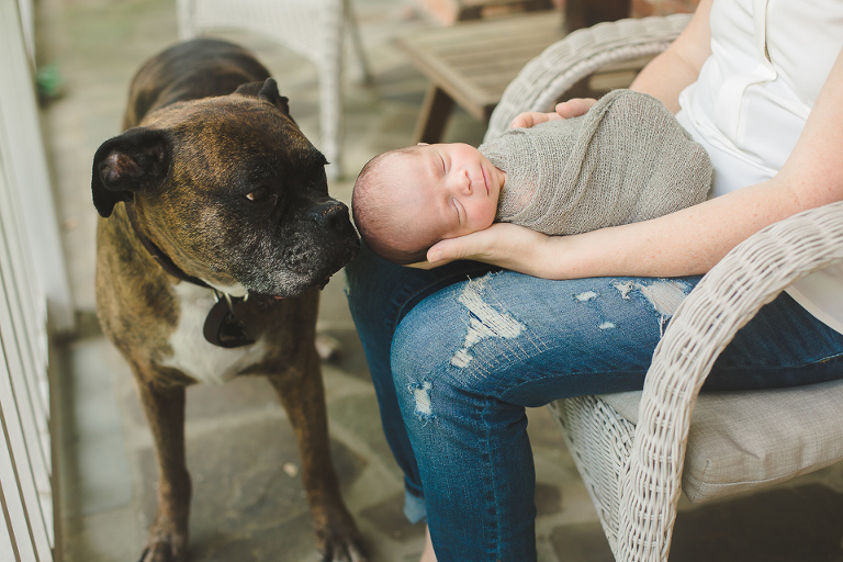 Newborn Lifestyle Session in Northern VA baby with dog