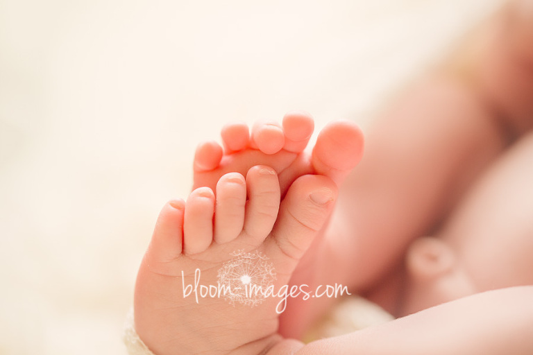 Newborn-Photographer-Northern-Virginia-baby-feet-Bloom-Images-by-Sylvia-Osinski