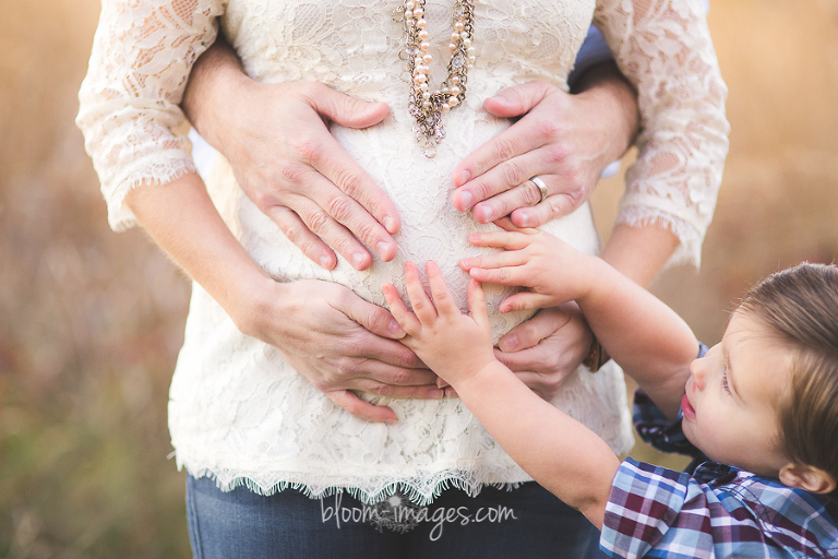 Pregnancy-Photography-NOVA-by-Bloom-Images, Sylvia-Osinski-Photography