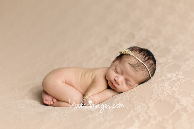 Northern Virginia Newborn Baby Photographey