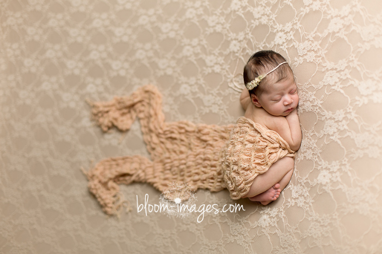 Northern Virginia Baby Photography