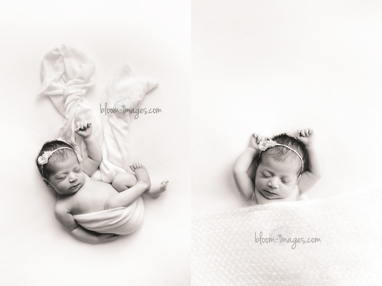 Northern Virginia Best Newborn Photographer