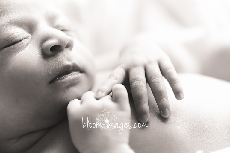 Northern Virginia Newborn Photographer Baby Hands Arlington VA