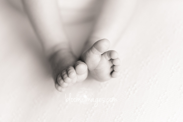 Northern Virginia Newborn Photographer Baby Toes