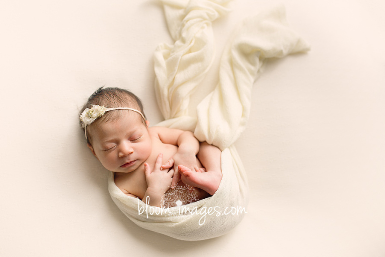 Northern VA Newborn Photographer Baby Wrapped