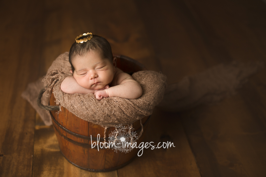 Baby Photos Northern VA