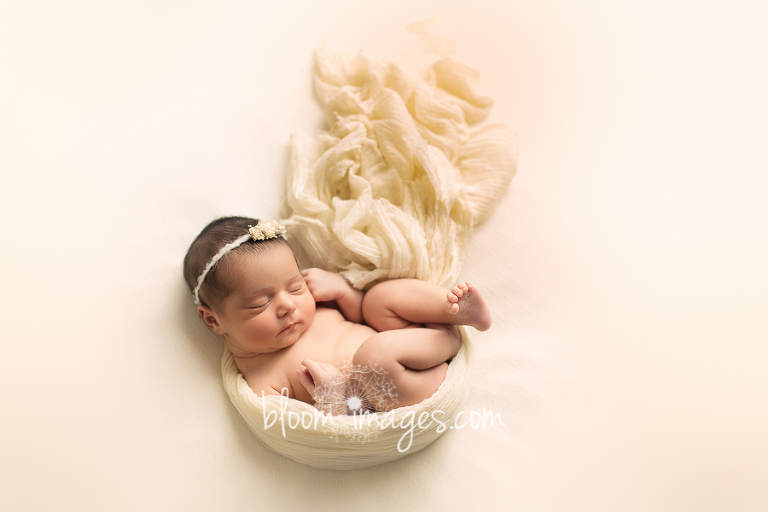 Best Newborn Photography in Northern VA