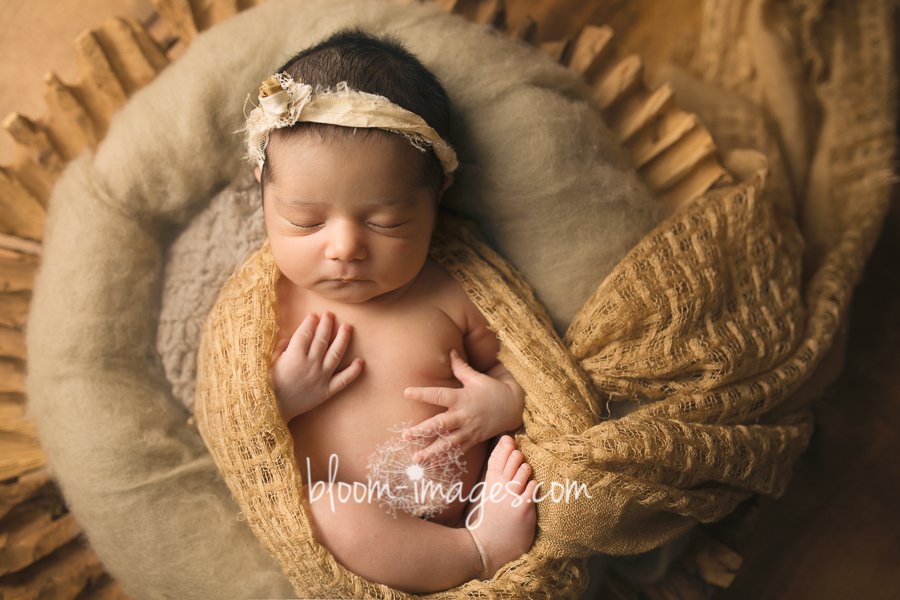 Baby Photographer Arlington VA