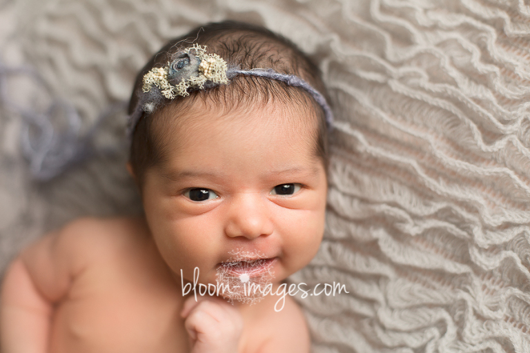 Newborn photos Northern VA