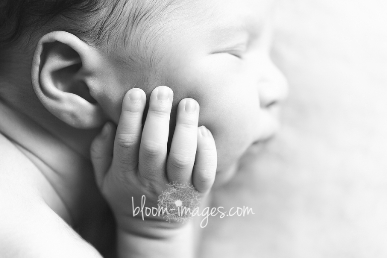 Newborn Photography Ashburn Northern VA