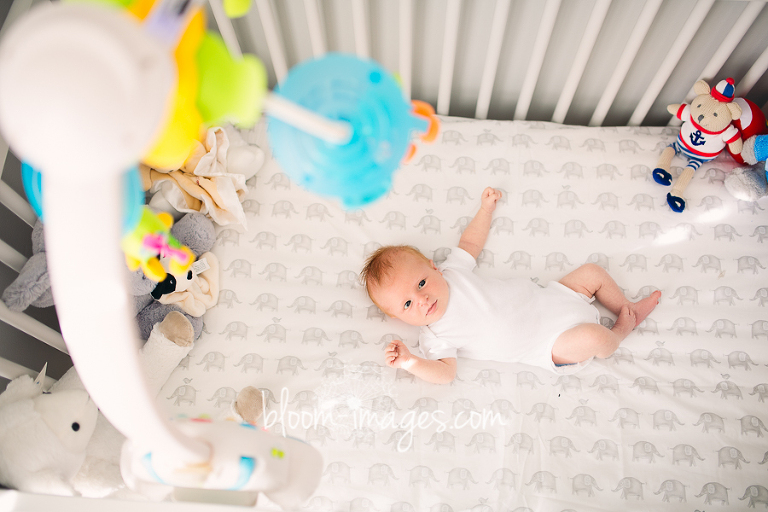 Newborn Photographer Fairfax VA