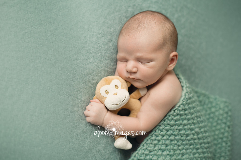 Newborn Photography NOVA Baby with Bear