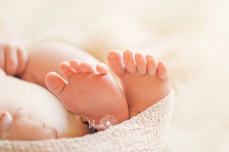 Newborn-Photographer-Northern-Virginia