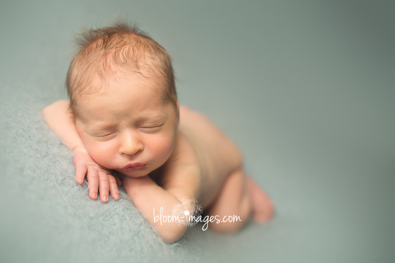 Newborn-Photograher-Washington-DC