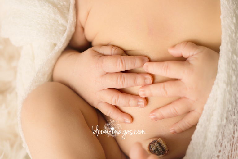 Newborn Photography Washington DC